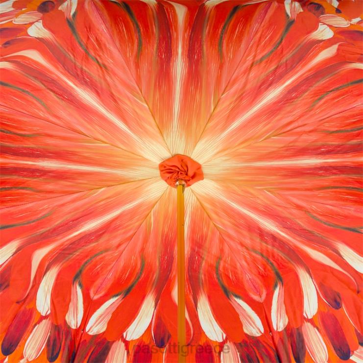 ομπρέλα | PASOTTI 189 30093-4 n5 - ομπρέλα με πορτοκαλί πινελιές διπλό πανί 2N6B8479 γυναίκες